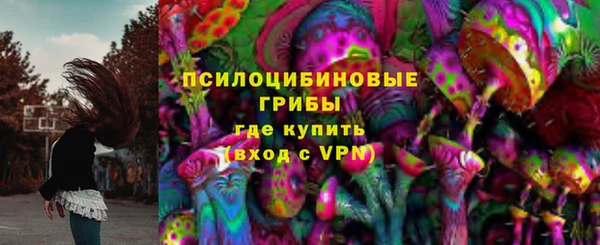 марки lsd Бородино